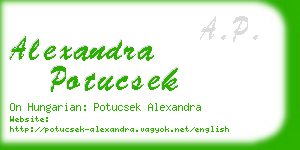 alexandra potucsek business card